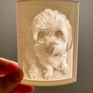 Personalized Night Light Lithophane Perfect Gift for Pets, Christmas, Graduations, Mother's Day or Remembrance for Bedrooms or Kid's Rooms image 3