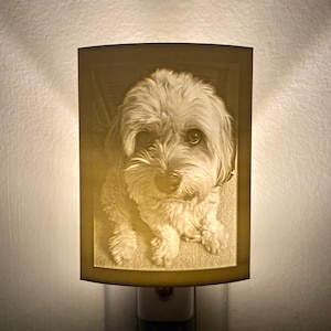 Personalized Night Light Lithophane Perfect Gift for Pets, Christmas, Graduations, Mother's Day or Remembrance for Bedrooms or Kid's Rooms Dog from the Listing