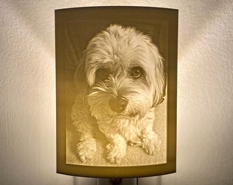 Veilleuse personnalisée Lithophane - Cadeau parfait pour les animaux de compagnie, Noël, la remise des diplômes, la fête des mères ou un souvenir pour une chambre à coucher ou une chambre d'enfant