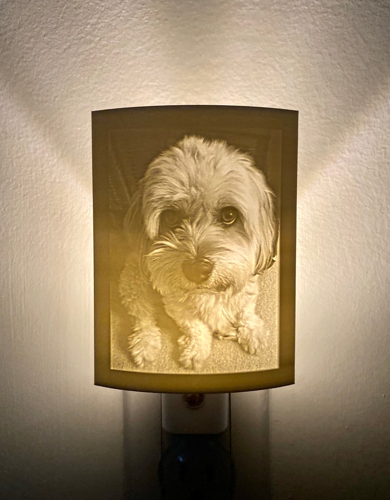 Personalized Night Light Lithophane Perfect Gift for Pets, Christmas, Graduations, Mother's Day or Remembrance for Bedrooms or Kid's Rooms Dog from the Listing