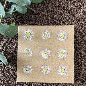 Karte / getrocknete Gänseblümchen/ Geburtstagskarte / Geschenkkarte / floral / Blumen / Grusskarte