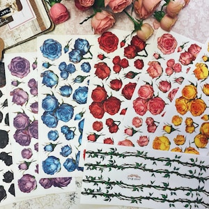 Pegatinas de rosas / pegatinas de papel / pegatinas transparentes mate / ilustración de acuarela