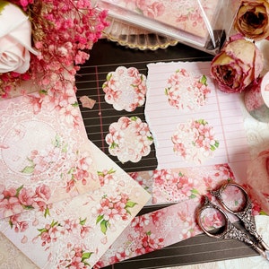 Paquete de flor de cerezo / pegatinas de papel / ilustración de acuarela