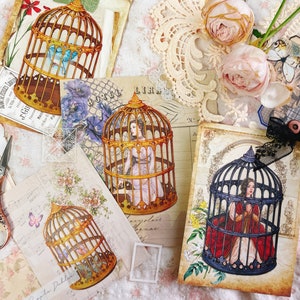 Jaula de pájaros / Pegatinas mate transparentes / ilustración de acuarela