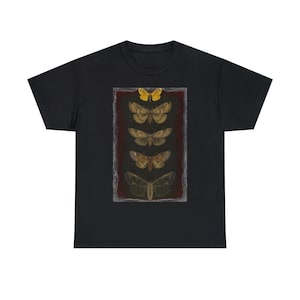 Moths Display & Logo