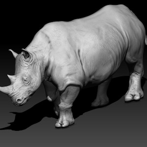 White Rhino 3D model for 3D Printing