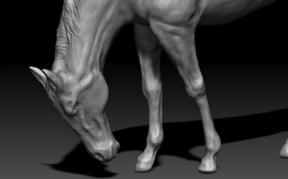 3D Digitale Pferde Grazing Skulptur Datei Zum Download Ideal Für.