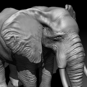 Puede incluir: Un modelo 3D detallado de la cabeza y la parte superior del cuerpo de un elefante, renderizado en escala de grises. La trompa del elefante está enroscada y sus colmillos son visibles. El modelo captura los intrincados detalles de la piel y las características del elefante.