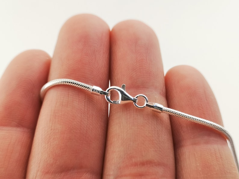 May include: A silver snake chain necklace with a lobster clasp closure.