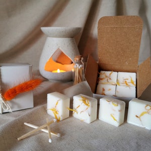 Amber Woods Soy Wax Melts: Essential Oils, Home Fragrance Gift