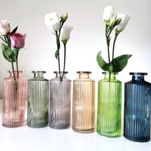Ribbed Glass Bottle Bud vase Small Green Blue Pink Decorative Bottle Mothers Day