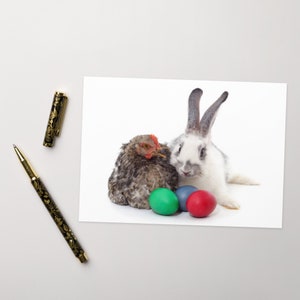 Tarjeta de Pascua de Chicken & Bunny Friends, de nuestra cooperativa a la tuya, tarjetas de Pascua felices para granjeros, regalo para los amantes del pollo, tarjeta de Pascua Country Life