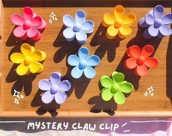 Mystery Colorful Flower Claw Clips | Claw Clip | Flower Claw Clips | Flower | Retro | Clip | Hair Accessory | Gift | Aesthetic