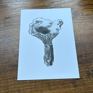 Carte postale illustrée champignon A6 (A6) noir et blanc anthracite
