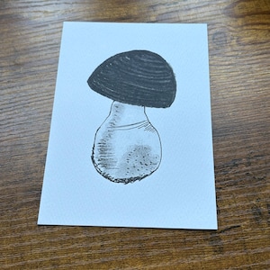 Carte postale illustrée champignon A6 (A6) noir et blanc anthracite
