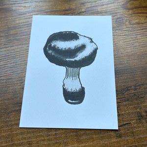 Carte postale illustrée champignon A6 (A6) noir et blanc anthracite