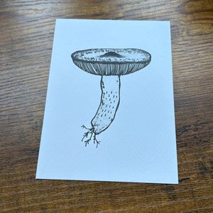 Carte postale illustrée champignon A6 (A6) noir et blanc anthracite