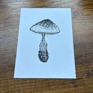 Carte postale illustrée champignon A6 (A6) noir et blanc anthracite