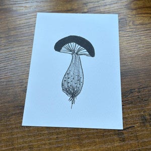 Carte postale illustrée champignon A6 (A6) noir et blanc anthracite