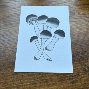 Carte postale illustrée champignon A6 (A6) noir et blanc anthracite