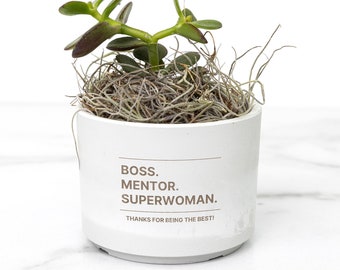 Boss Mentor Superwoman Succulent Plant, Desk Plant Gift for Boss, Supervisor Gift, Mentor Appreciation Gift, Home Office Decor for Lady Boss