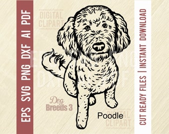 Poodle Svg, Dog Breed, Funny dog - Pet Vector Dog, Dog Silhouette Stencil, SVG Cut File, Svg Eps Png Dxf Inkscape,  Illustrator