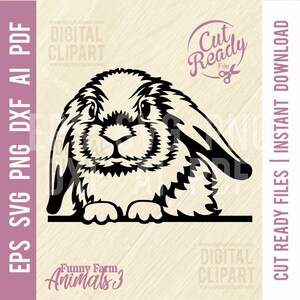 Lapin furtif SVG - pochoir coupé drôle animal furtivement animal, SVG pour Cricut, clipart, fichier de coupe png, fer à repasser, vecteur