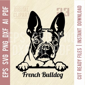 Bulldog Francês SVG - Cachorro Espiando, Arquivo Vetorial, Estêncil de Corte, Corte a Laser dxf, SVG para Cricut, clipart, png Arquivo de corte, ferro em