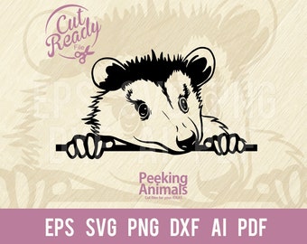 Peeking Opossum SVG - Comic Animal SVG Funny Animal cut file, Wildlife Stencils Svg, png, dxf, SVG for Cricut, clipart, vector clipart