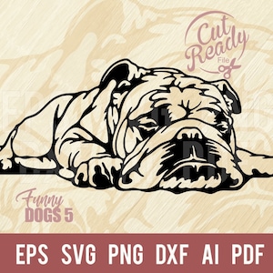Bulldog inglese sonnolento SVG Cane divertente SVG Comic Dog Stencil cnc File di taglio Cane emotivo SVG Cane umoristico SVG File Cricut eps, png, dxf, pdf