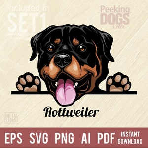 Rottweiler Dog SVG - Peeking Rottweiler SVG - Funny Rottweiler SVG