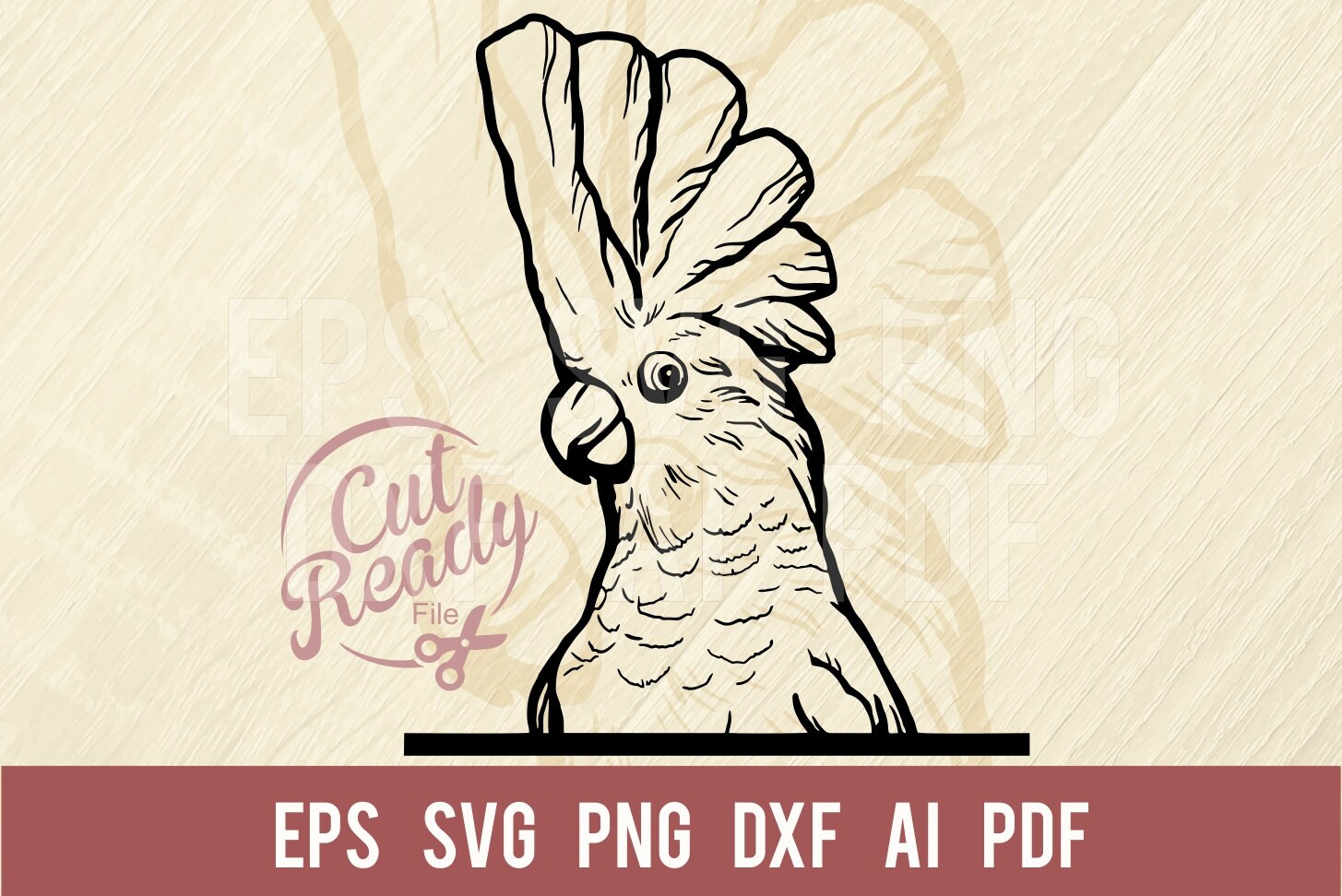 Cockatoo Parrot SVG Comic Animal SVG Funny Animal Cut File, Wildlife ...