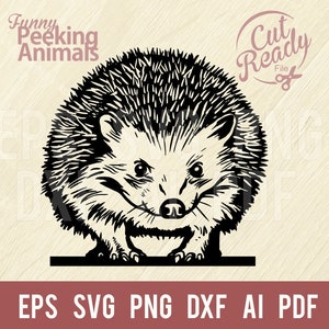 Hedgehog SVG - Comic Animal SVG Arquivo de corte de animal engraçado, Wildlife Stencils Svg, png, dxf, SVG para Cricut, clipart, clipart vetorial