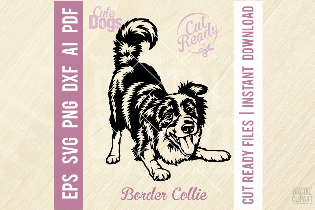 Dog Inkscape Border Collie Svg, Dog Breed, Funny Dog - Pet Vector Dog, Dog ...