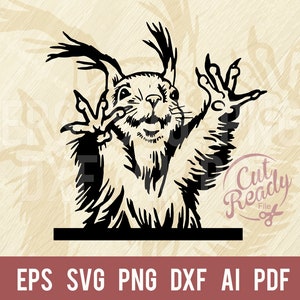 Écureuil drôle SVG - SVG animal comique animal drôle coupe fichier, faune pochoirs Svg, png, dxf, SVG pour Cricut, clipart, clipart vectoriel