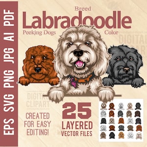 Labradoodle SVG-Set - Peeking Labradoodle SVG-Pack - Bundle 25 Labradoodle SVG