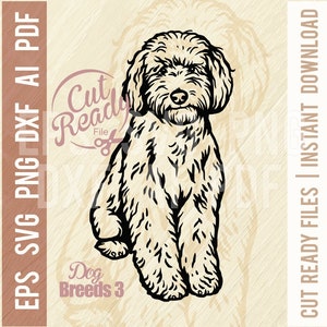 Labradoodle SVG, Race de chien, Chien drôle - Chien vectoriel pour animaux de compagnie, Pochoir de silhouette de chien, Fichier coupé SVG, Svg Eps Png Dxf Inkscape, Illustrator