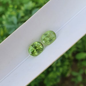 Peridot Pair Natural Stone Green Color Untreated Loose Faceted Transparent From Pakistan | 1.42 ct and 1.33 ct