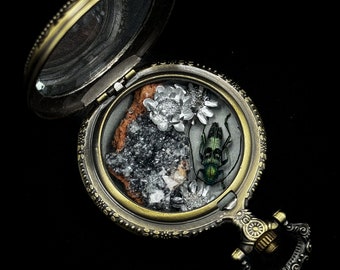 Longhorn Beetle (Galena Celestis) with Crystal Cluster and Silver Starflowers in Antique Pocket Watch Display