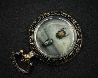 Popillia Japonica (Japanese Beetle) and Seraphinite in Antique Pocket Watch Display