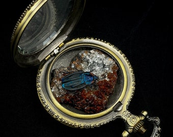 Teal Carrion Beetle (Necrophila Renatae) with Crystal Cluster in Antique Pocket Watch Display