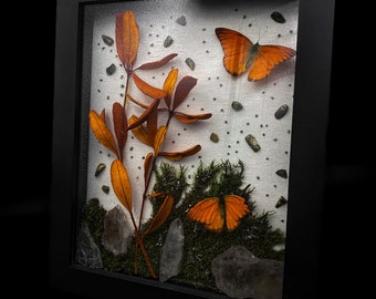 Vibrant Orange Albatross, Rainforest Rhyolite, and Shimmering Pyrite in Shadow Box Frame