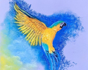 Pastel Art - Parrot