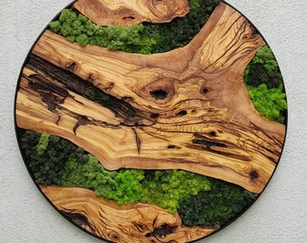 Custom Made Moss and Olive Wood Wall Art, Handmade Gift, Preserved Moss Art, Living Wall, Wall Decor, Wood Wall Art,