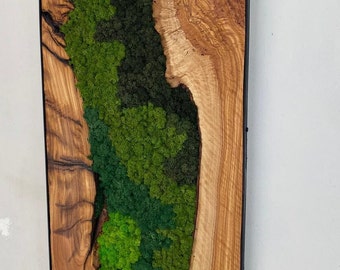 Custom Made Moss and Olive Wood Wall Art, Metal Frame Moss Wall Decor, Olive Wood and Moss Wall Art, Preserved Stabilized Moss Wall Decor