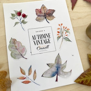 Box Automne vintage saison 4 image 2