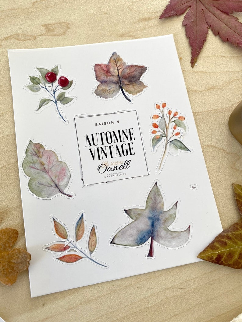 Box Automne vintage saison 4 image 2