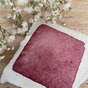 Acuarela hecha a mano &quot;Bordeaux Velvet&quot;, pintura color miel de calidad artística, ideal para la creación