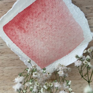 Handgemachtes Aquarell "Flamingo Pink", Honigfarbe in Künstlerqualität, ideal für die Kreation