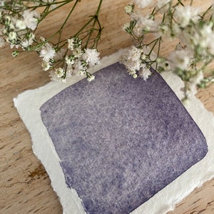 Handgemachtes Aquarell "Blueberry Violet", Honigfarbe in Künstlerqualität, ideal für die Kreation
